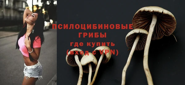 соль ск Аркадак
