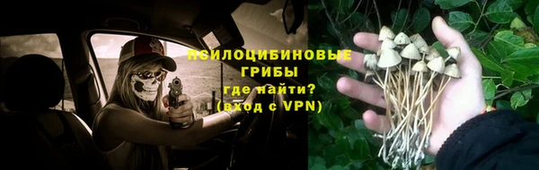 соль ск Аркадак