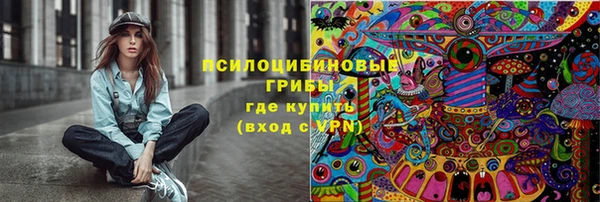 ПСИЛОЦИБИНОВЫЕ ГРИБЫ Армянск