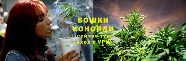 соль ск Аркадак