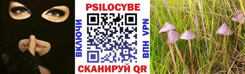 Псилоцибиновые грибы прущие грибы  Москва 